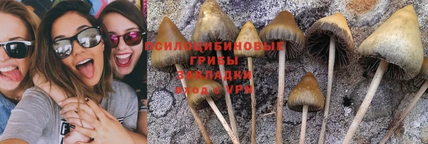 гидропоника Арсеньев