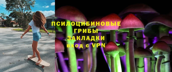 гидропоника Арсеньев
