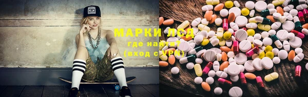 jwh Кедровый
