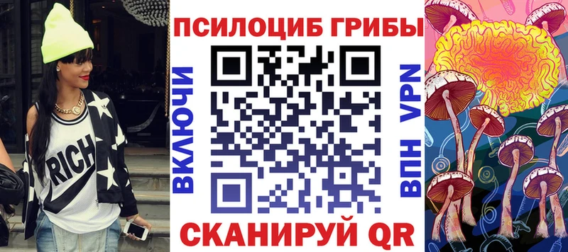 цены наркотик  Пучеж  даркнет наркотические препараты  Галлюциногенные грибы GOLDEN TEACHER 